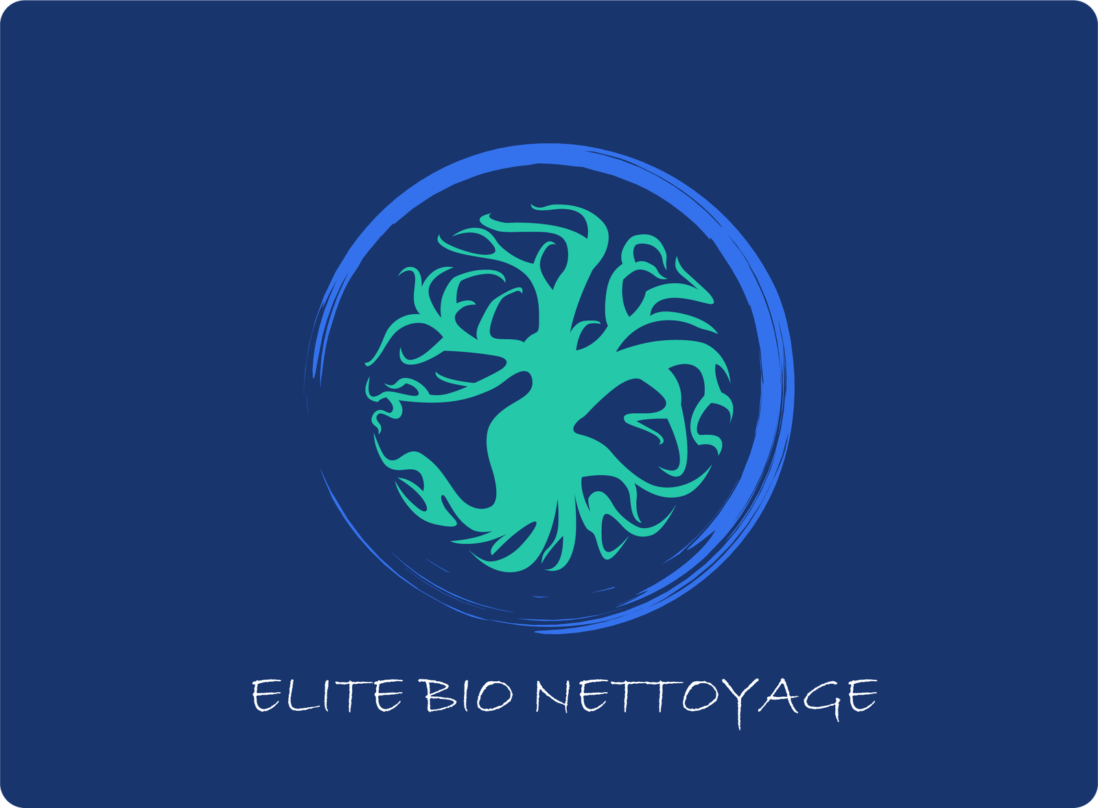 elite-bionettoyage.fr